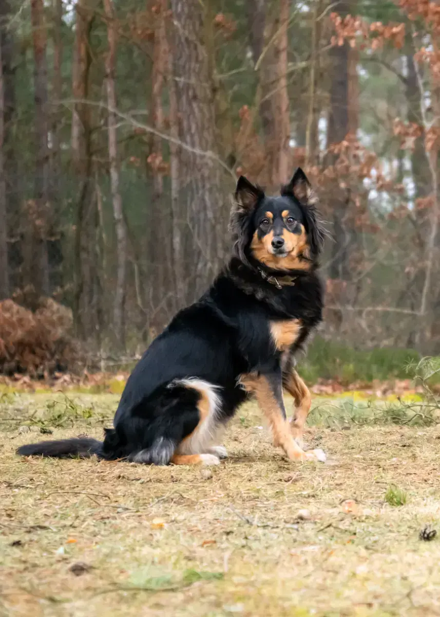 Luna -  - Bild 4