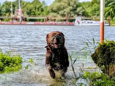 Zeus – Ca de Bestiar – Bild 5