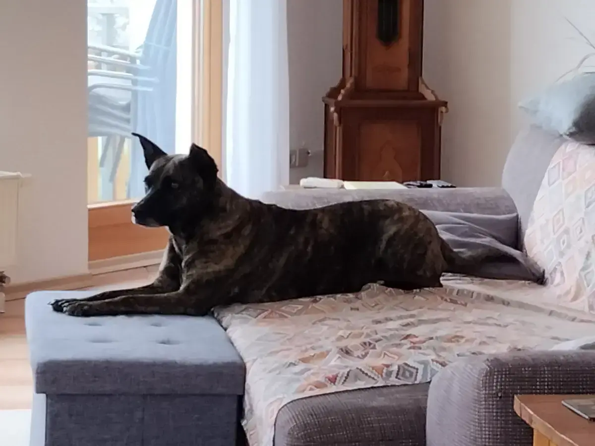 Greta -  - Bild 2