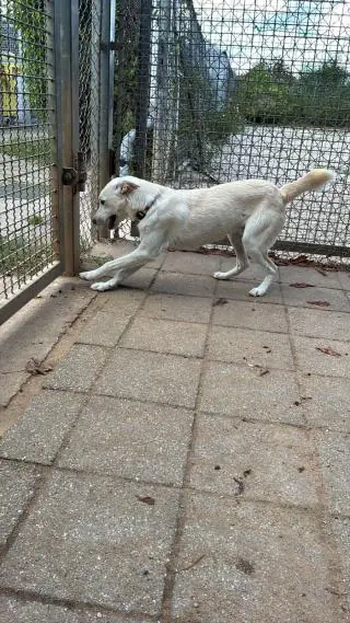 Albus -  - Bild 14