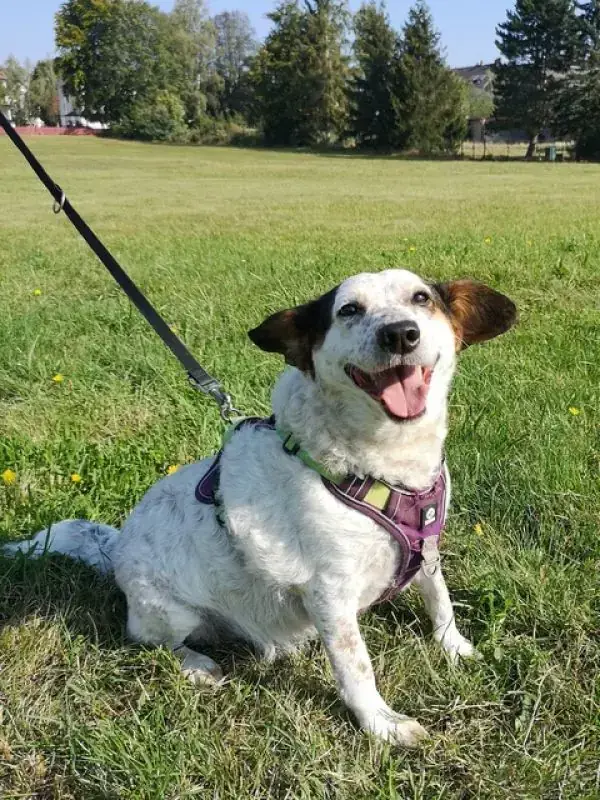 Betty -  - Bild 13