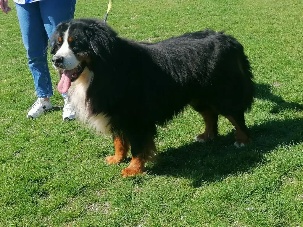 Lucky -  - Bild 2