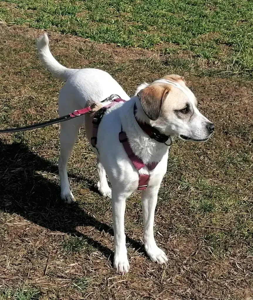 Frieda -  - Bild 4