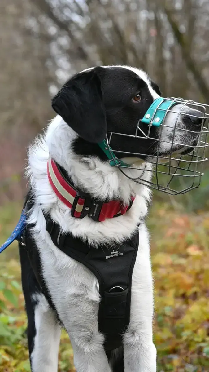 Sammy -  - Bild 2