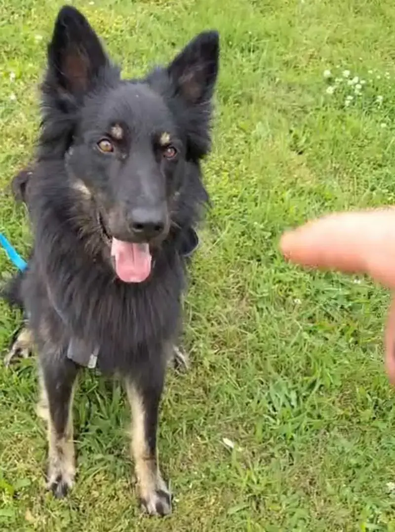 Spike -  - Bild 2