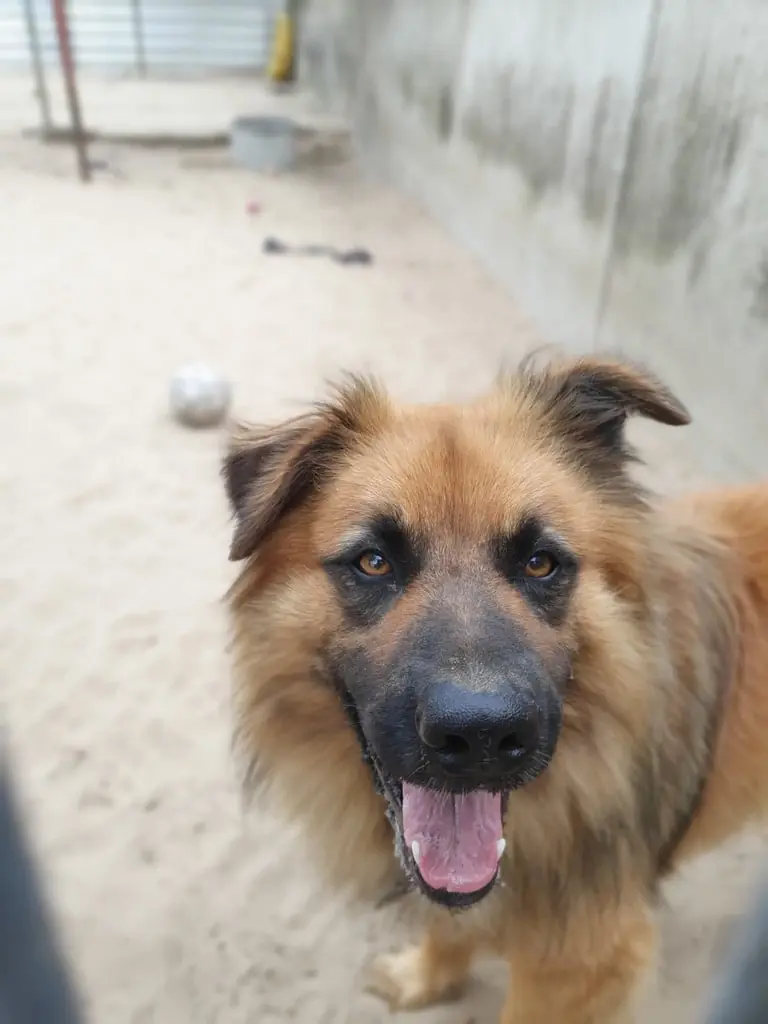 Spike -  - Bild 1