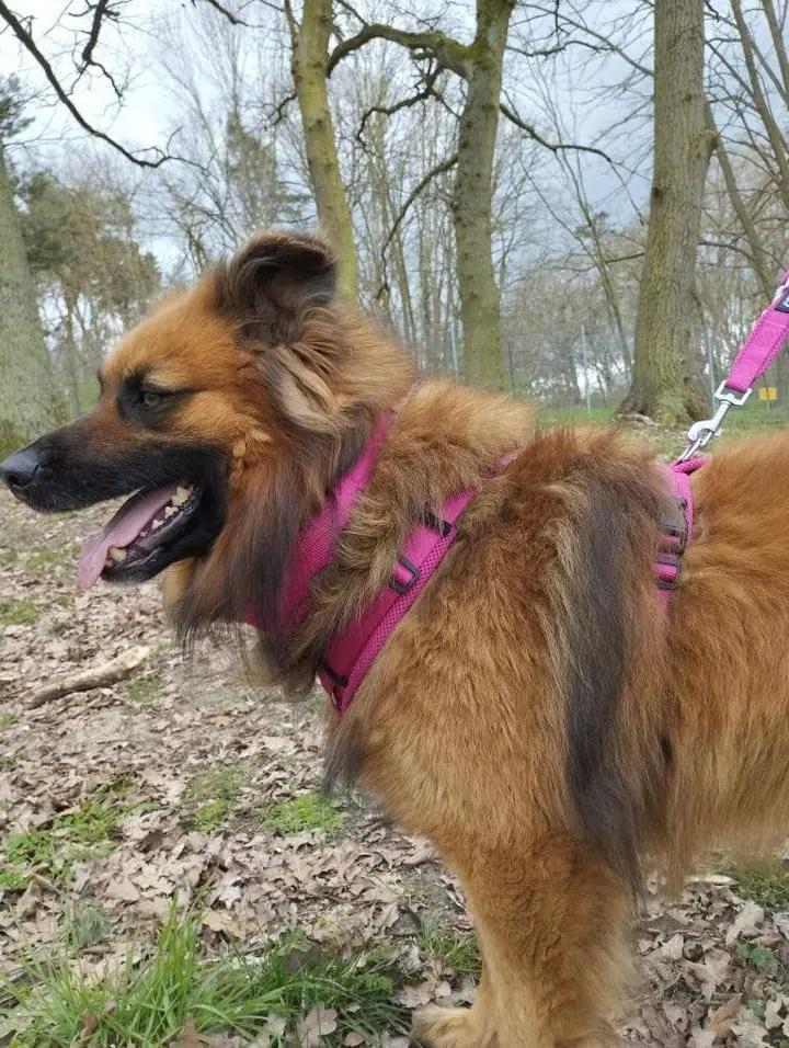 Spike -  - Bild 5