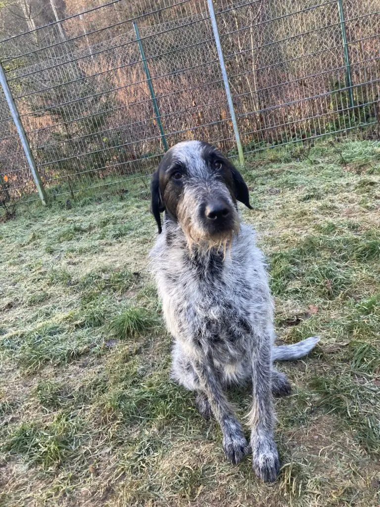 Kira -  - Bild 4