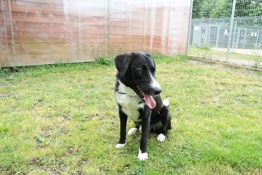 Marley -  - Bild 6
