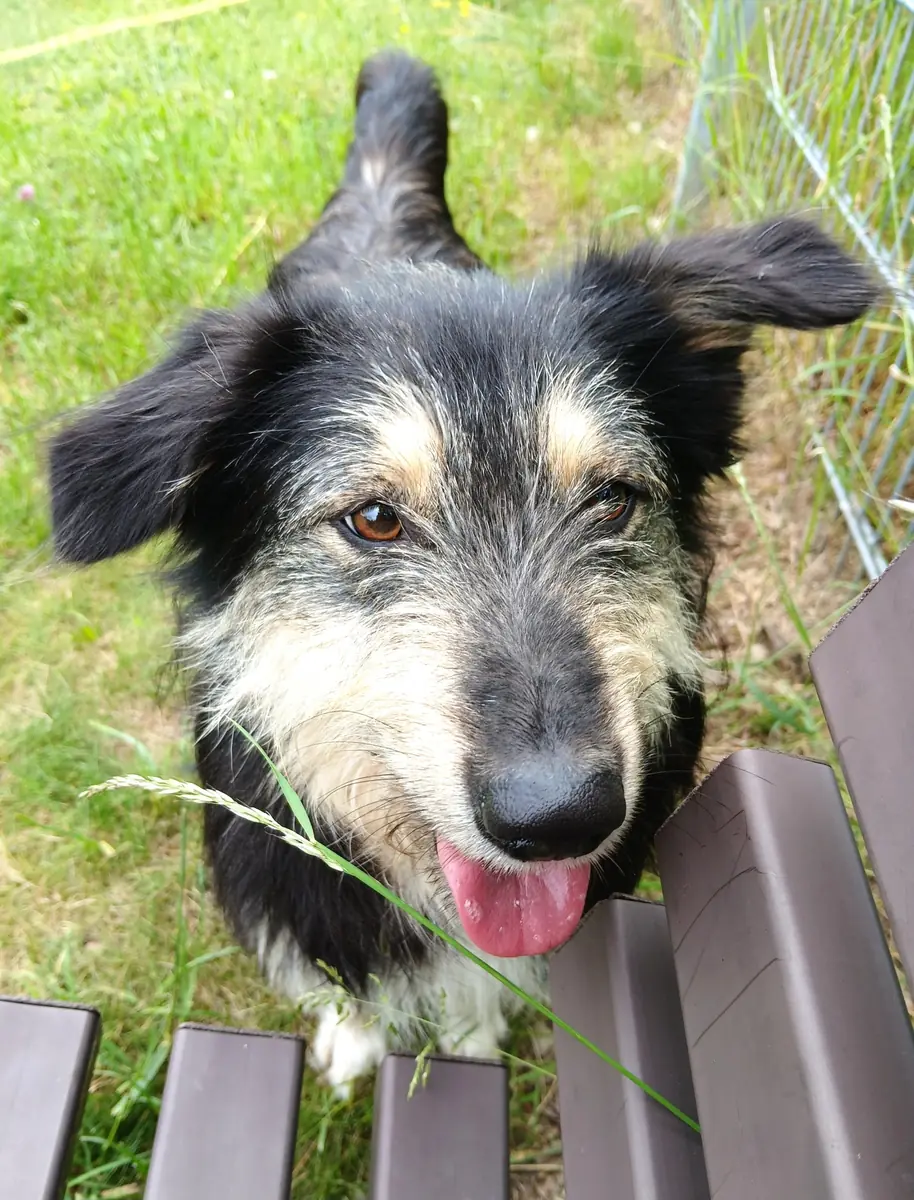 Greta -  - Bild 3