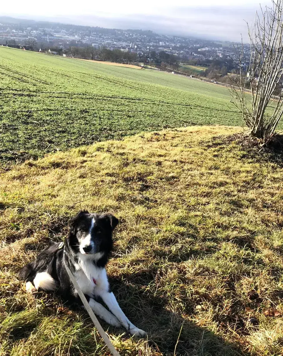 Mix Lenny
