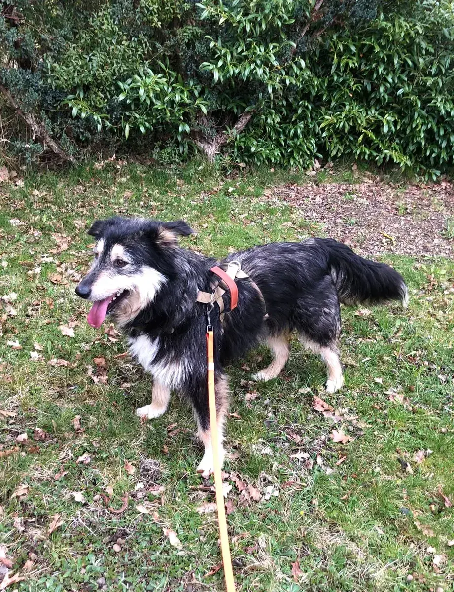 Greta -  - Bild 1