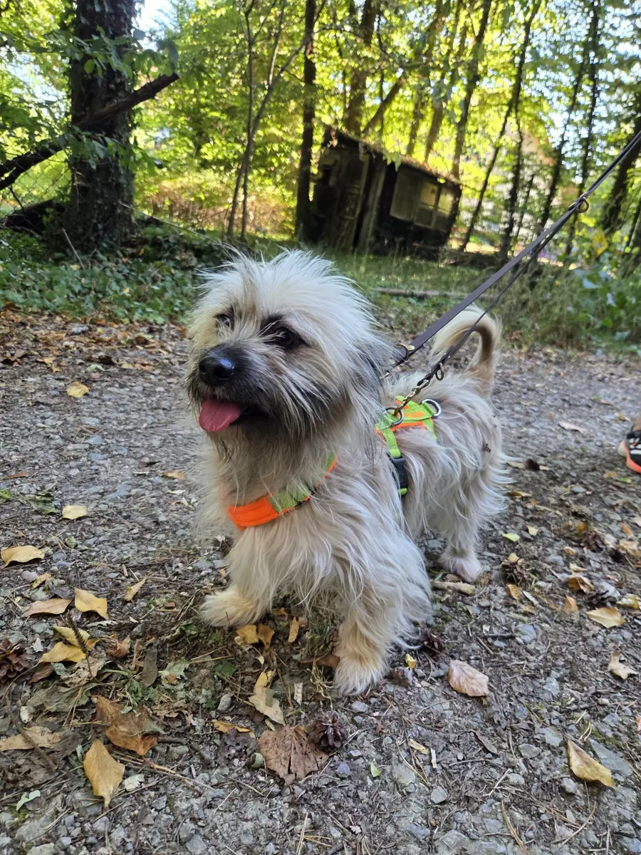 Alfi -  - Bild 2