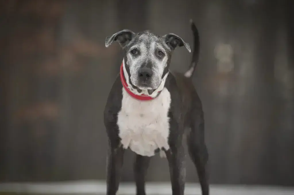 Mix Heinz
