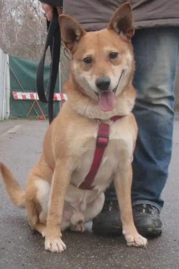 Ari -  - Bild 1