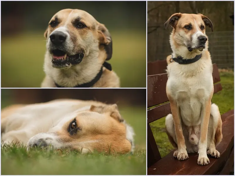 Monty -  - Bild 1
