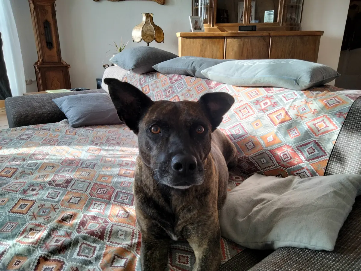 Greta -  - Bild 1