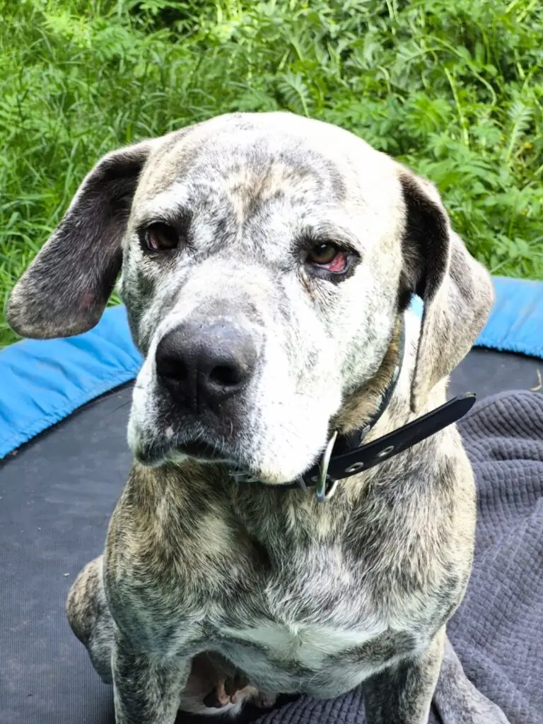 Mala -  - Bild 1