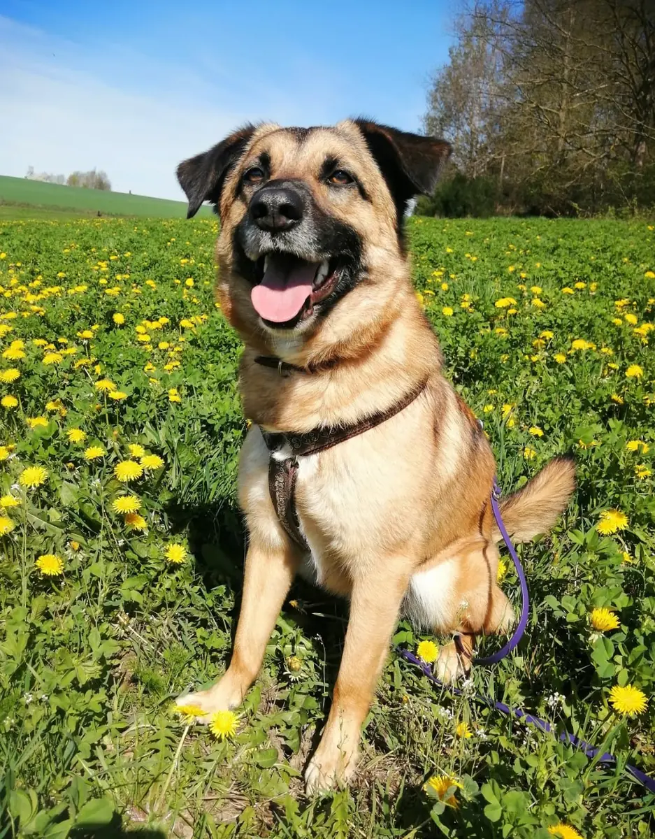 Barry -  - Bild 4