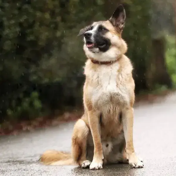 Nuka -  - Bild 3