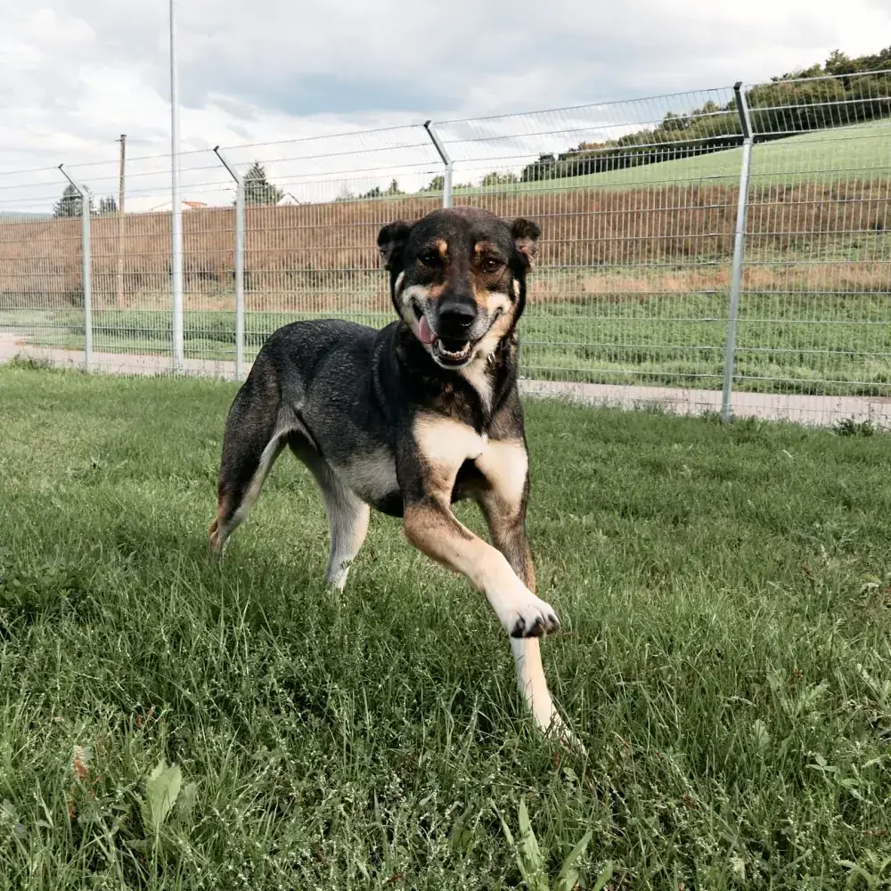 Fiona -  - Bild 2