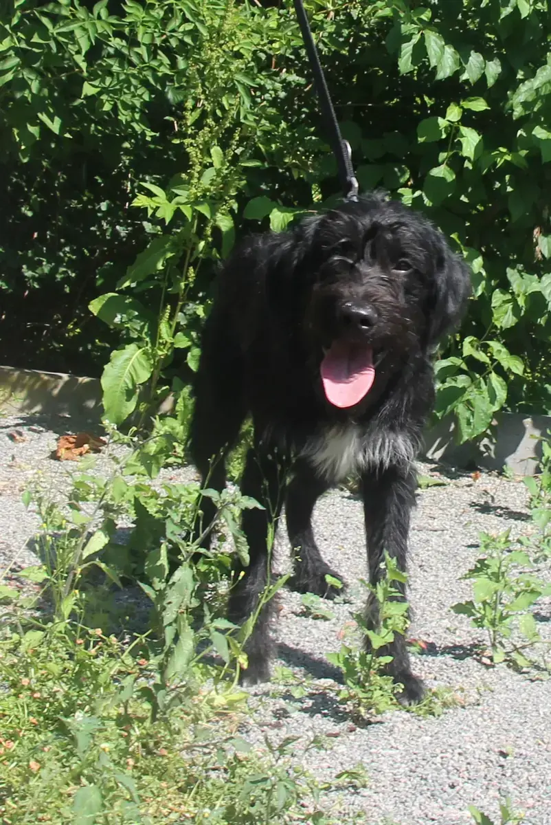 Freddy -  - Bild 2