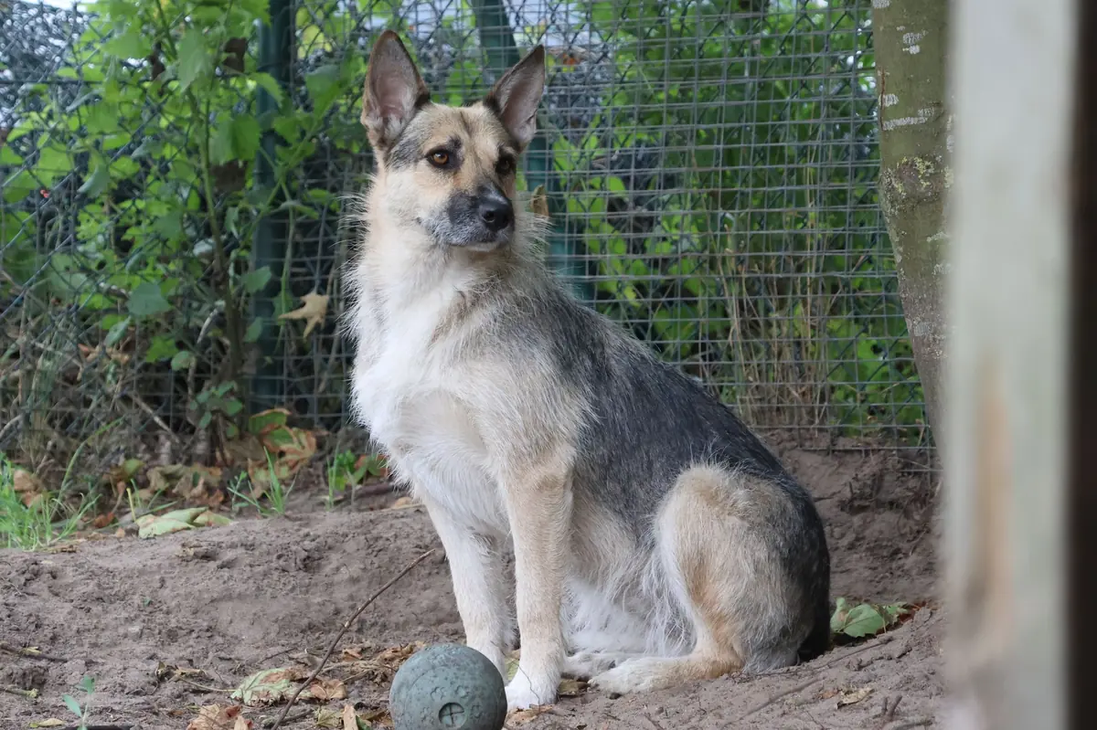 Lucy -  - Bild 6