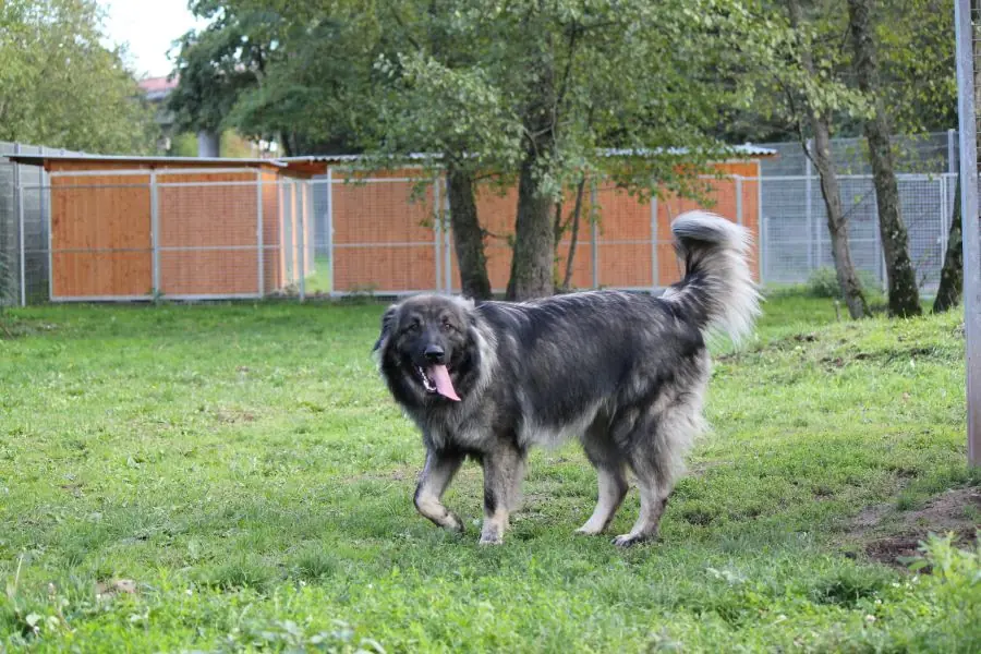 Rocky -  - Bild 7