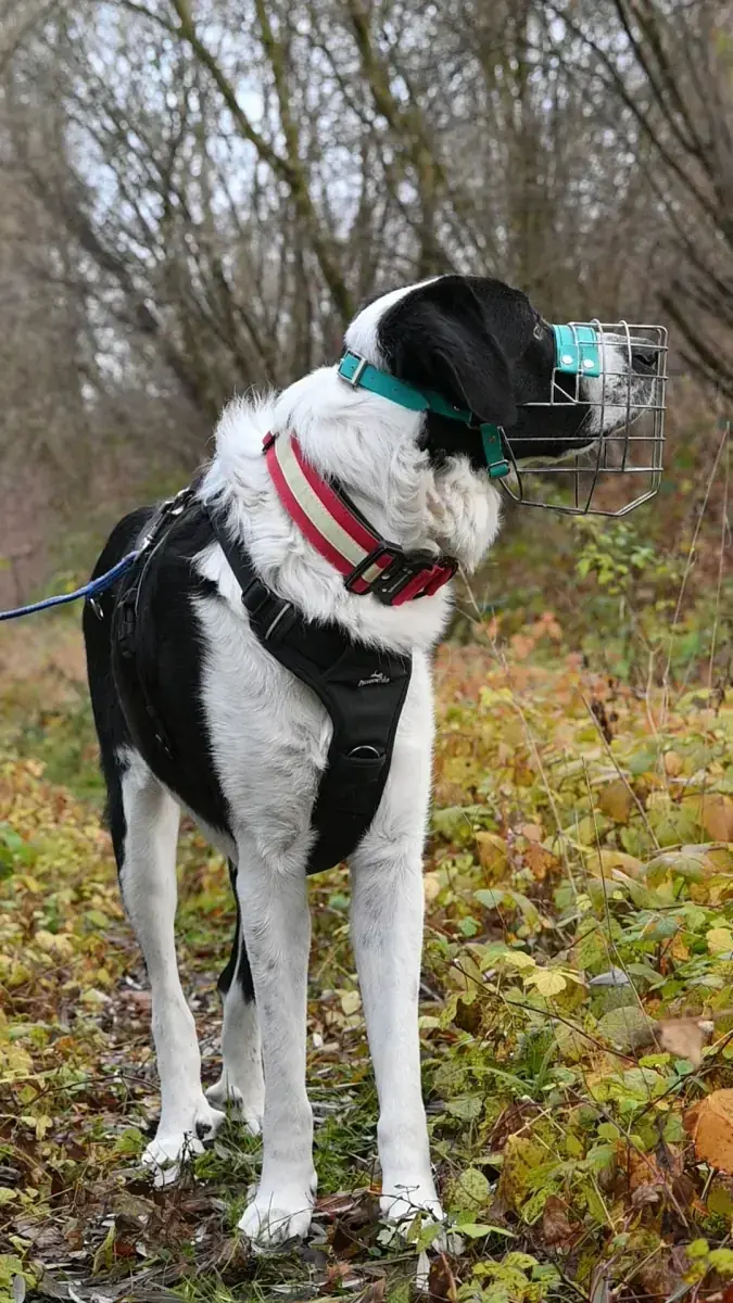 Sammy -  - Bild 4