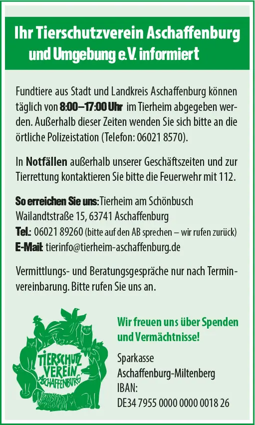 Pawter -  - Bild 14
