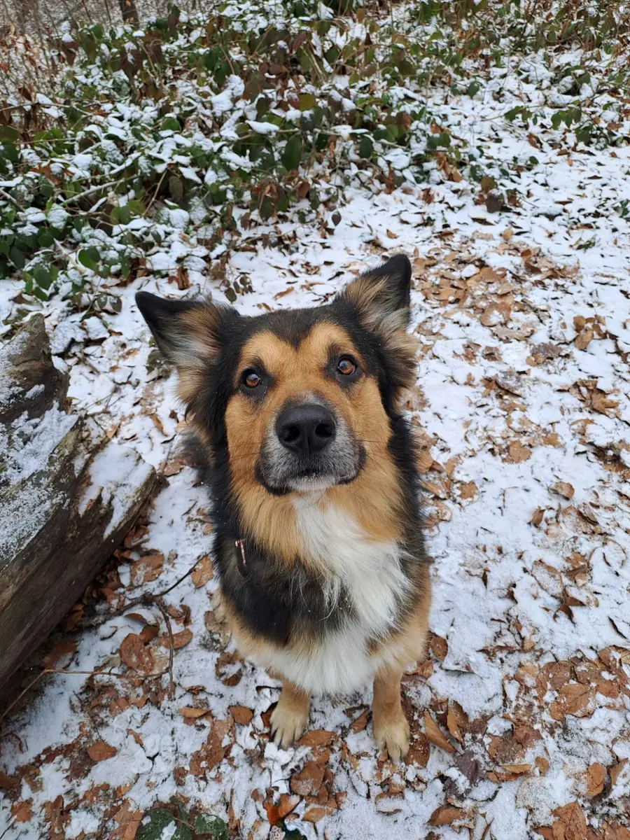 Rocky -  - Bild 2