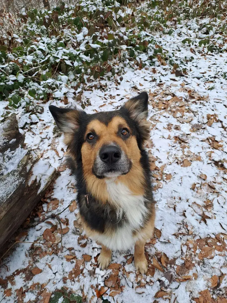 Rocky -  - Bild 2