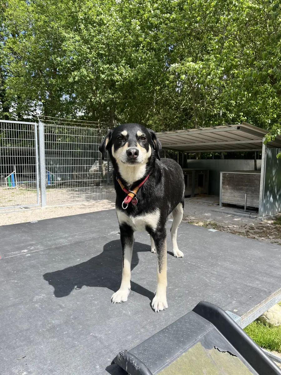 Luna -  - Bild 2
