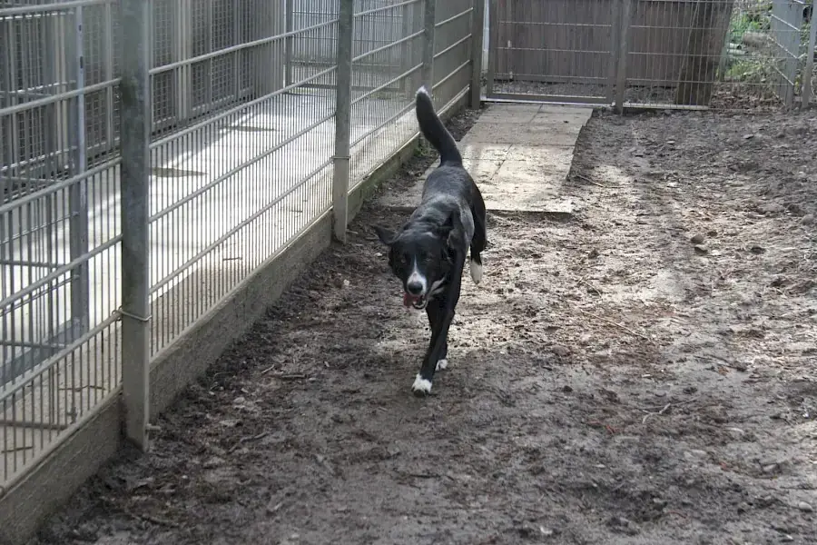 Marley -  - Bild 8