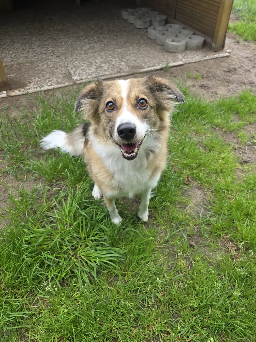 Charly -  - Bild 4