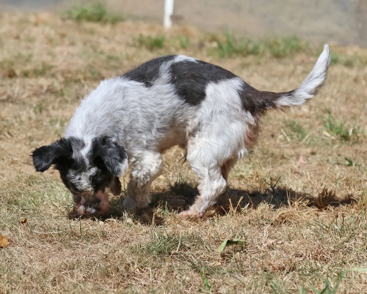 Andi -  - Bild 5