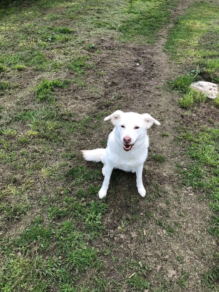 Bella -  - Bild 1