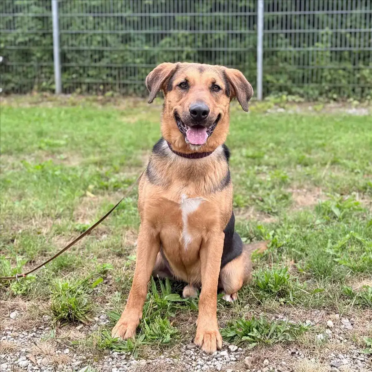MILO -  - Bild 1