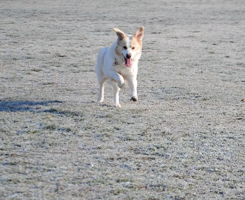 Mathilda -  - Bild 4