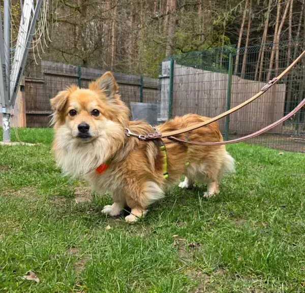 Bilbo -  - Bild 2