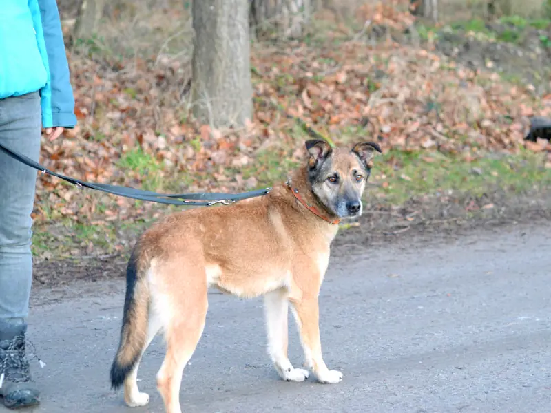 Benio -  - Bild 13