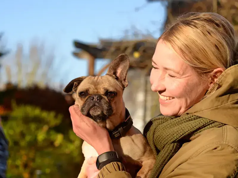 Sandy - Französische Bulldogge - Bild 7