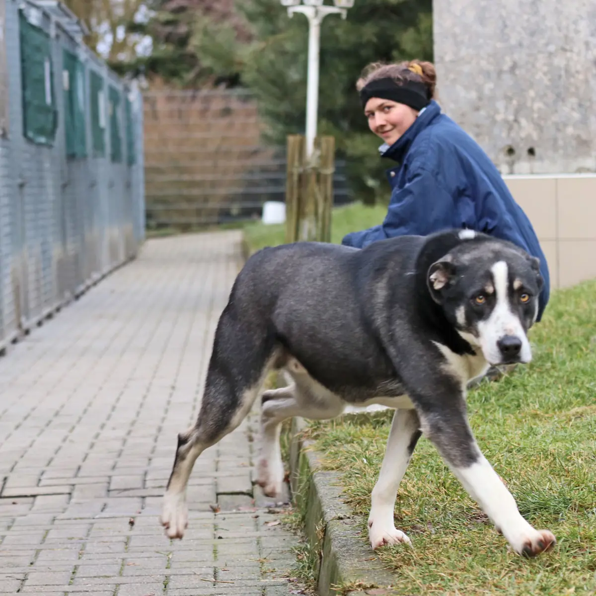 Buddy -  - Bild 7