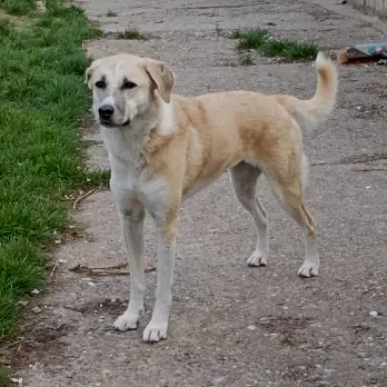 Cindy -  - Bild 1