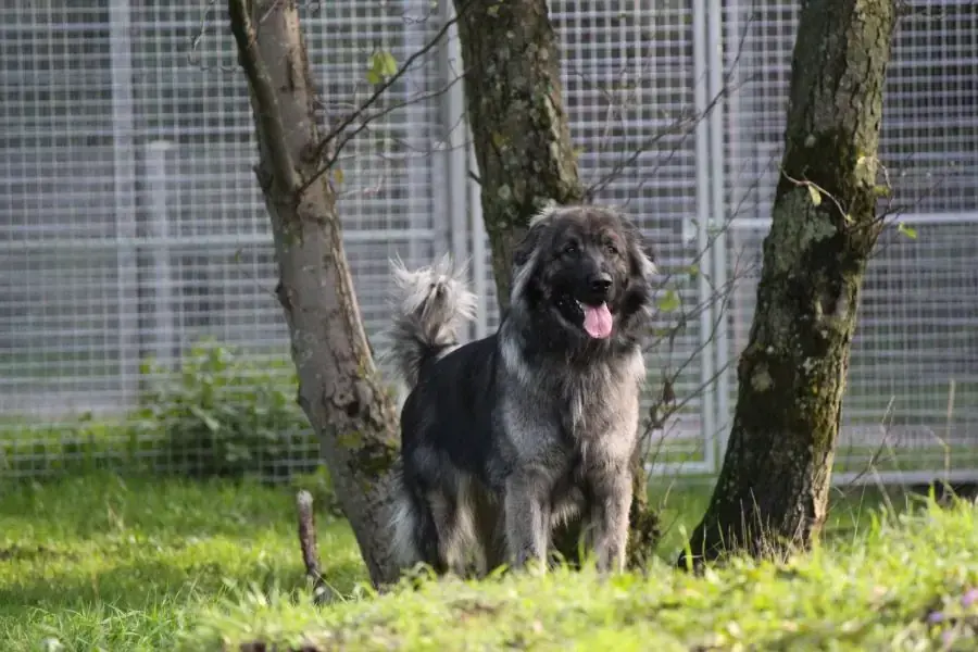 Rocky -  - Bild 5