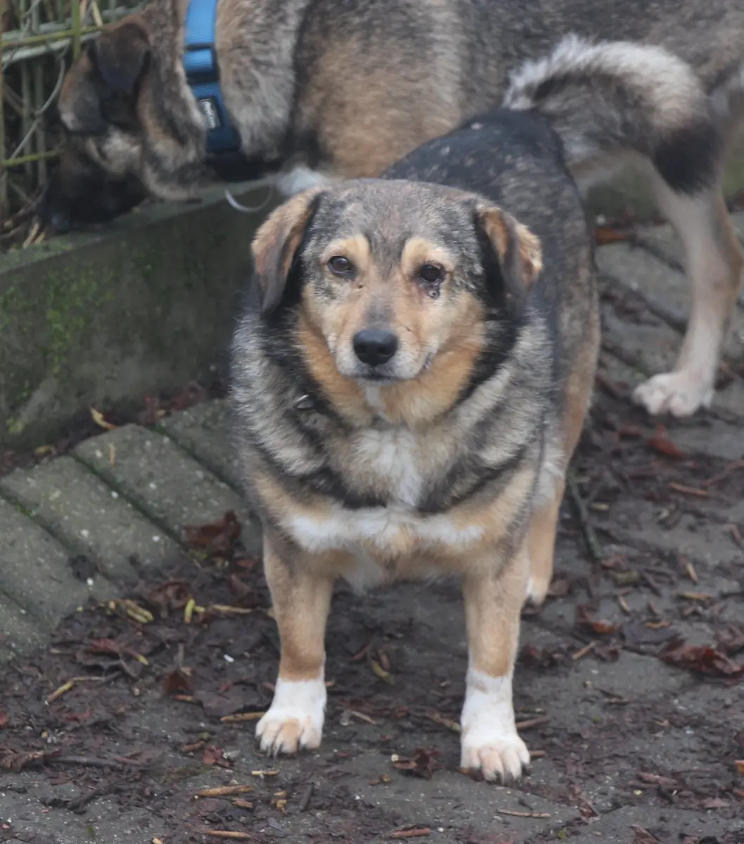 Benito -  - Bild 1