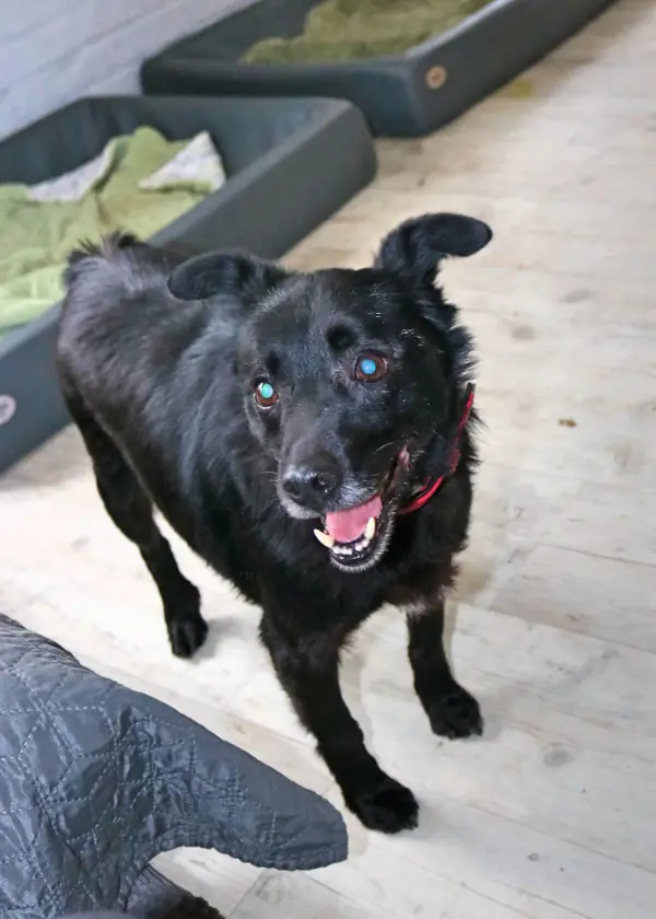 Pety -  - Bild 13