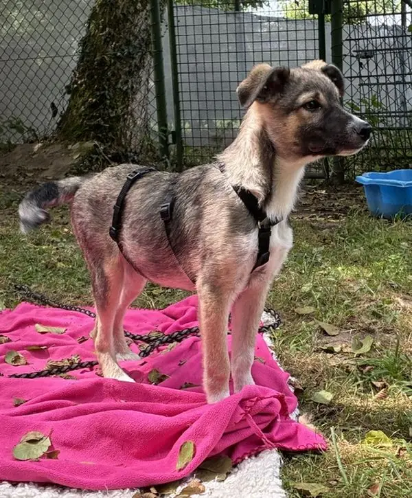 Titus -  - Bild 2