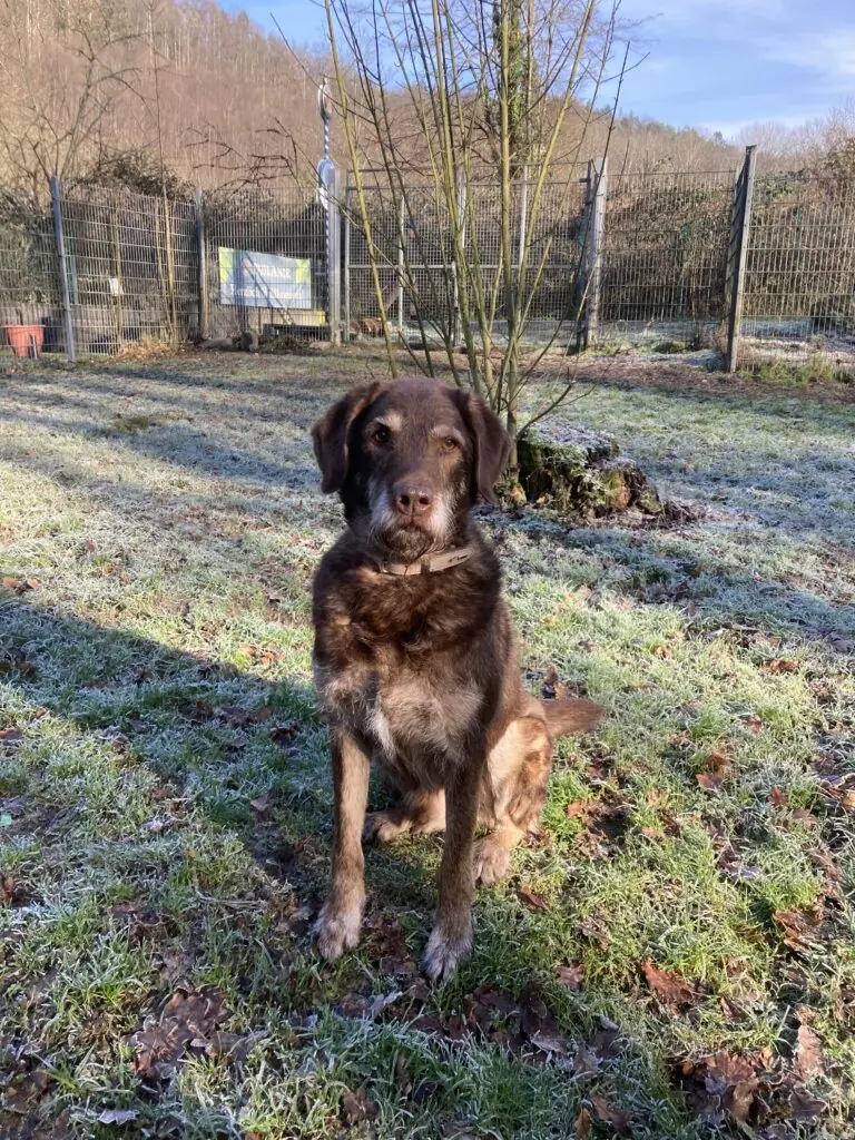 Max -  - Bild 4