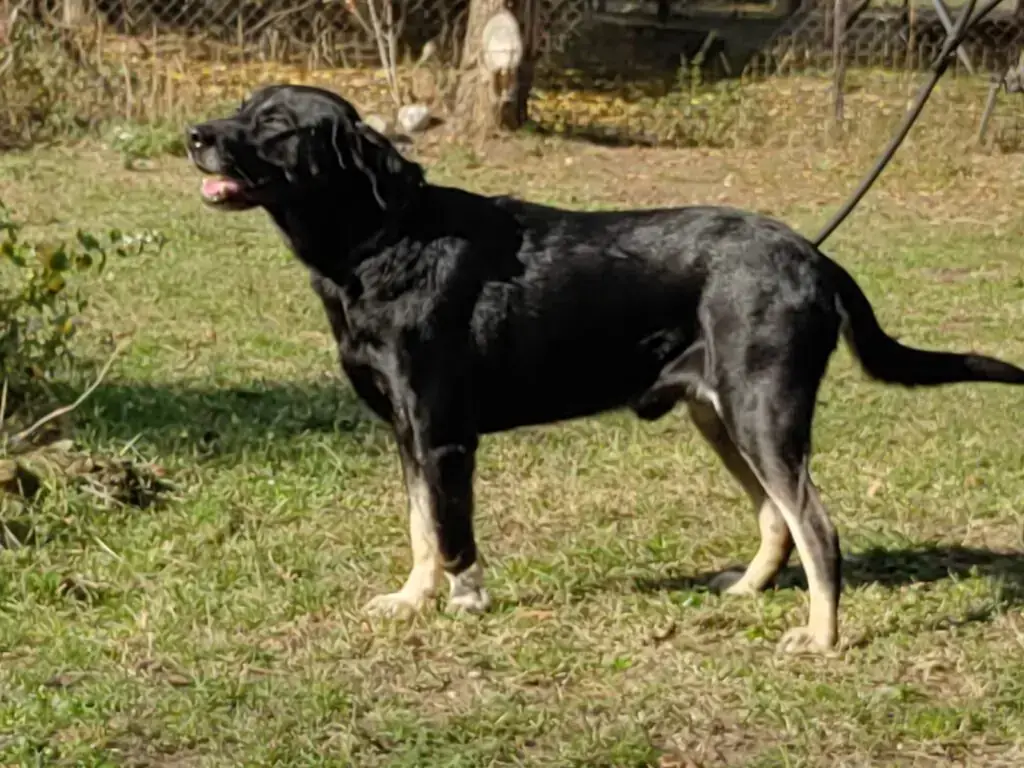 Sammy -  - Bild 4
